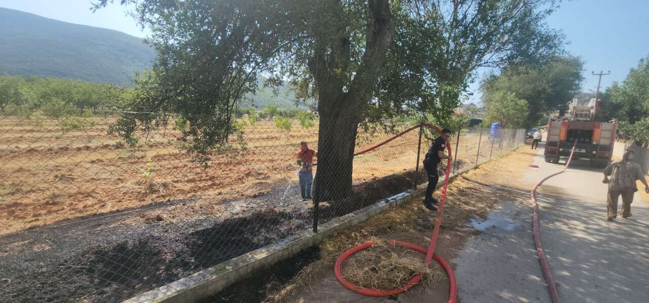 Menteşe’de Bahçe Yangını: Havadan Müdahale Başladı 3